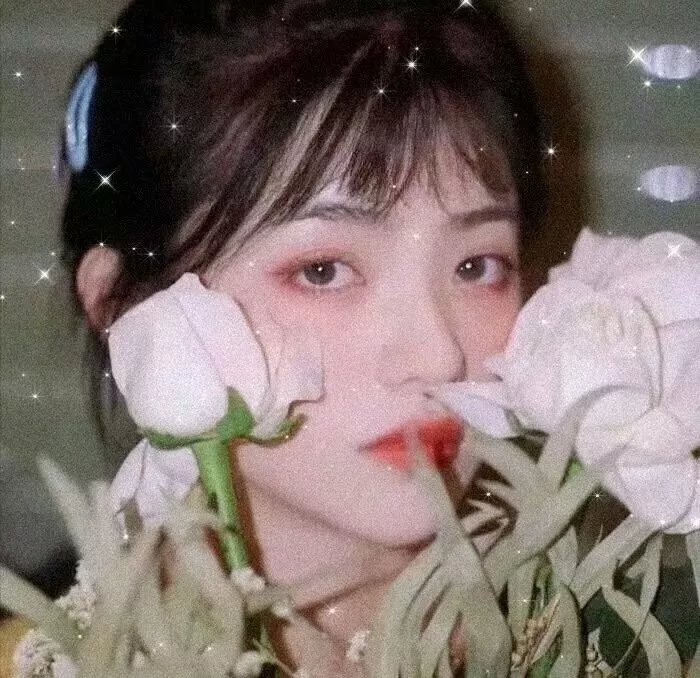 风流太子