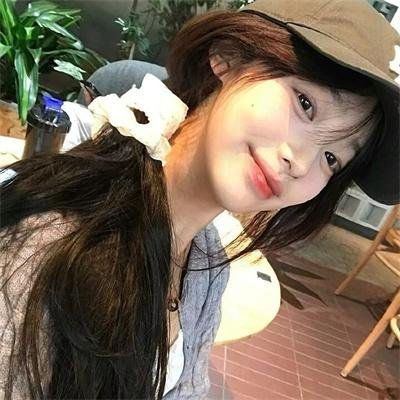 没人瞭波斯猫