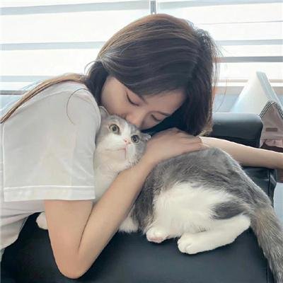 南茅北马